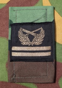 fry17s.jpg (49136 bytes)