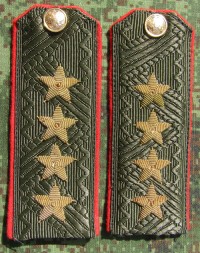 rgsb30s.jpg (53085 bytes)