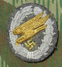 rse290s.jpg (4324 bytes)