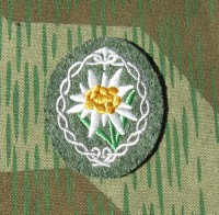 rse368fgs.jpg (3204 bytes)