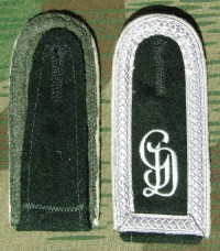 rse496s.jpg (3278 bytes)