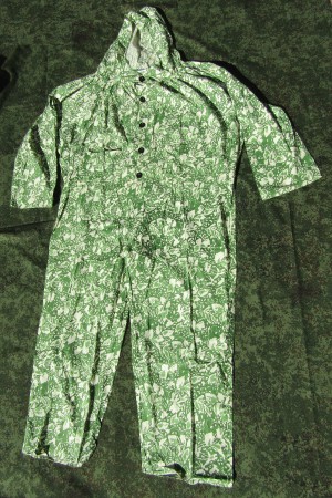 scs19s.jpg (7294 bytes)