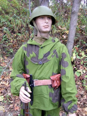 scs2s.jpg (7162 bytes)