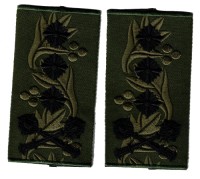 uksb6s.jpg (55030 bytes)