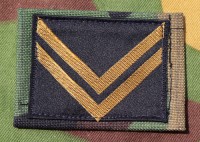 yu3076as.jpg (49136 bytes)